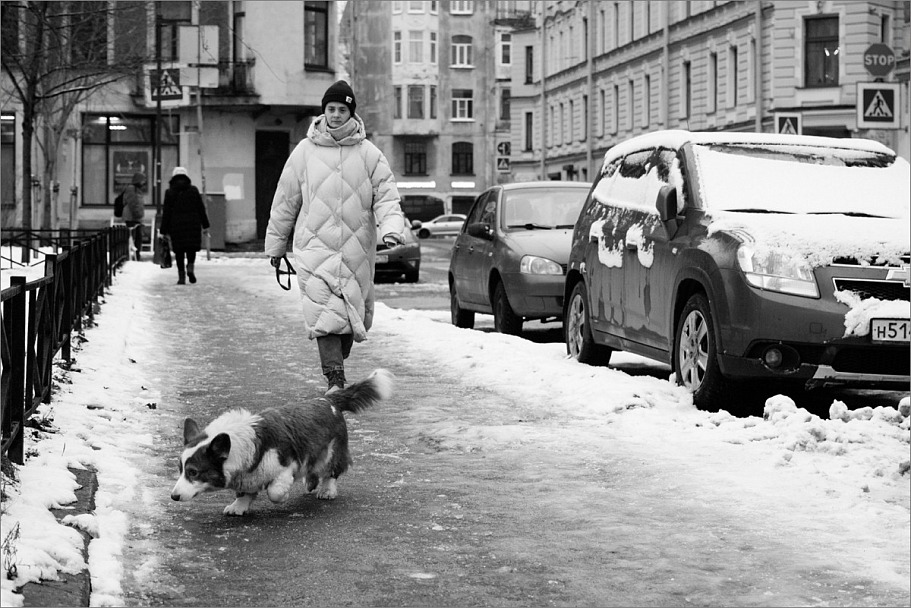 Прикрепленное изображение: knn_Dog2024(6)_1200.jpg
