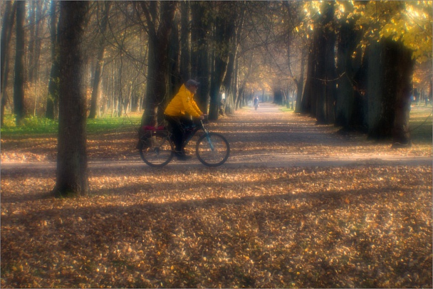 Прикрепленное изображение: knn_AleksandrovskyiPark2018(12)_Helios44-2-1-1_85mm_1200.jpg