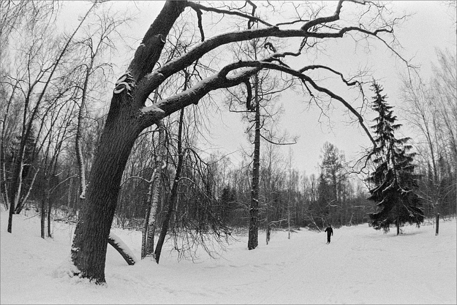 Прикрепленное изображение: knn_FujicaST-801(2024)(1)_Zenitar16mm2.8_Ilford Pan 400(4)_1200.jpg