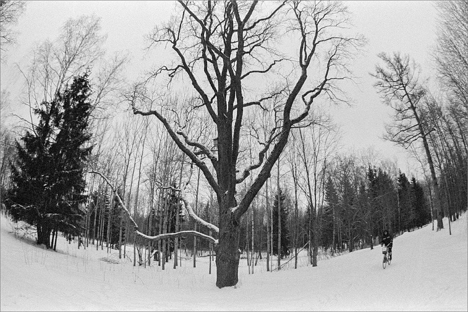 Прикрепленное изображение: knn_FujicaST-801(2024)(1)_Zenitar16mm2.8_Ilford Pan 400(1)_1200.jpg