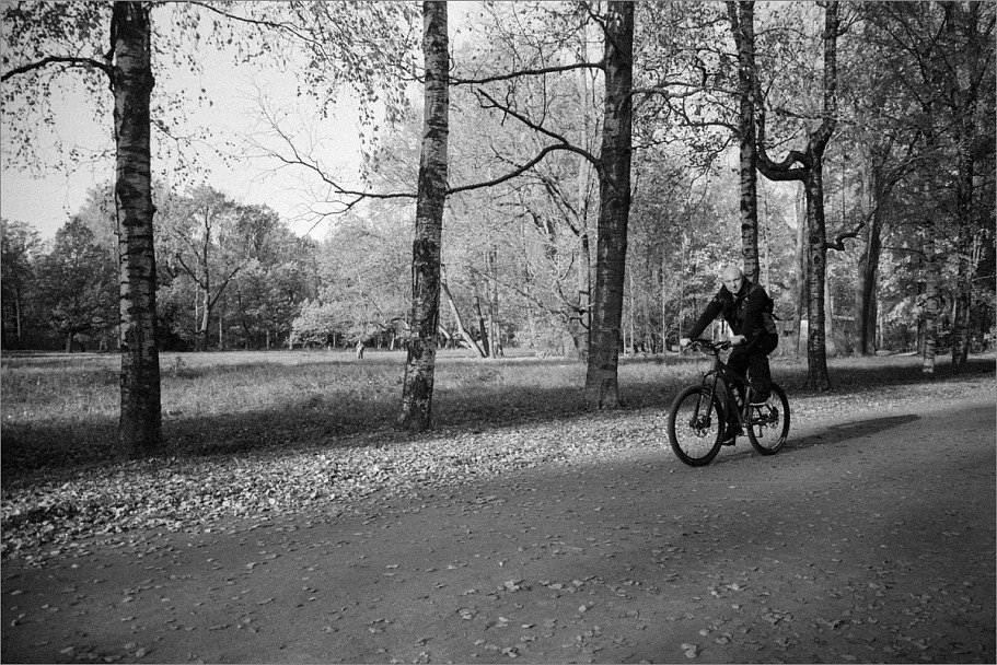 Прикрепленное изображение: knn_Canon FT Ql(2024)(3)_Canon FD 35mm2.8_Fomapan 200 как 200_Compard R09 1-50_22С_10минут_1партия(3)_1200.jpg