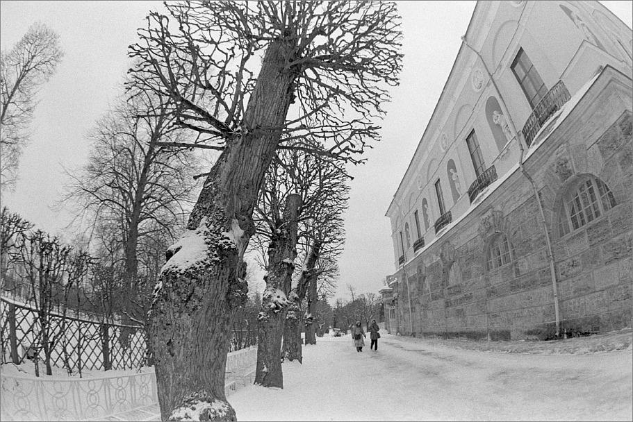 Прикрепленное изображение: knn_FujicaST-801(2024)(2)_Zenitar16mm2.8_Ilford Pan 400(4)_1200.jpg