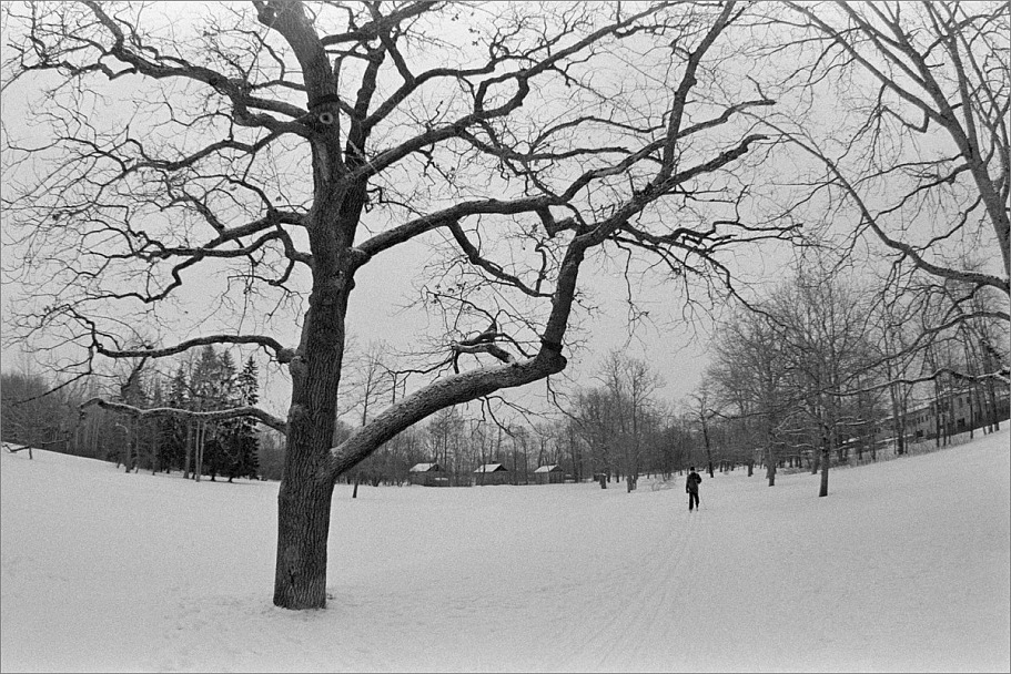 Прикрепленное изображение: knn_FujicaST-801(2024)(1)_Zenitar16mm2.8_Ilford Pan 400(6)_1200.jpg