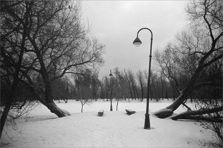 Прикрепленное изображение: knn_LOMO-K-4(2024)(2)_Etude Pan 400_Fomadon R09(2)_1200.jpg