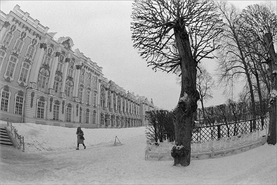 Прикрепленное изображение: knn_FujicaST-801(2024)(2)_Zenitar16mm2.8_Ilford Pan 400(5)_1200.jpg