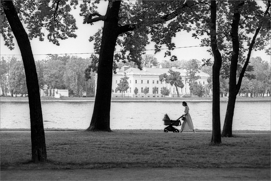 Прикрепленное изображение: knn_Pentax Spotmatic F(2024)(2)_ Takumar 55mm1.8_Rollei Retro 80S_Compard R09 1-50_20C_14минут(4)_1200.jpg