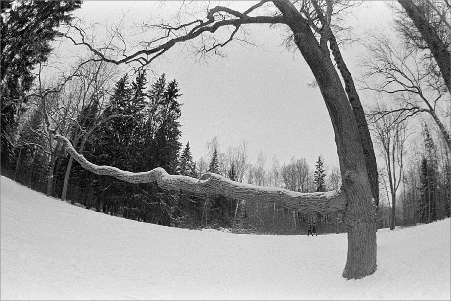 Прикрепленное изображение: knn_FujicaST-801(2024)(1)_Zenitar16mm2.8_Ilford Pan 400(2)_1200.jpg