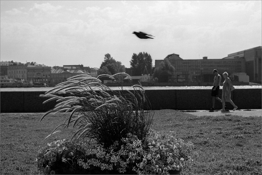 Прикрепленное изображение: knn_Pentax Spotmatic F(2024)(2)_ Takumar 55mm1.8_Rollei Retro 80S_Compard R09 1-50_20C_14минут(5)_1200.jpg