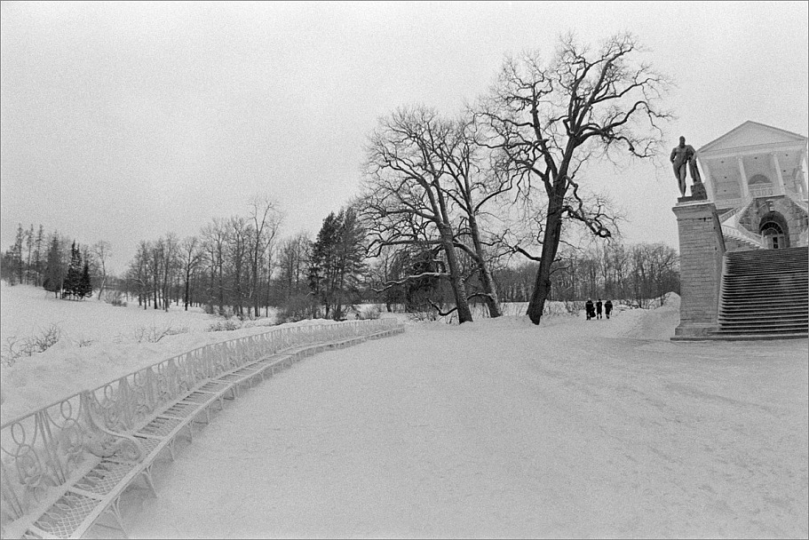 Прикрепленное изображение: knn_FujicaST-801(2024)(2)_Zenitar16mm2.8_Ilford Pan 400(8)_1200.jpg