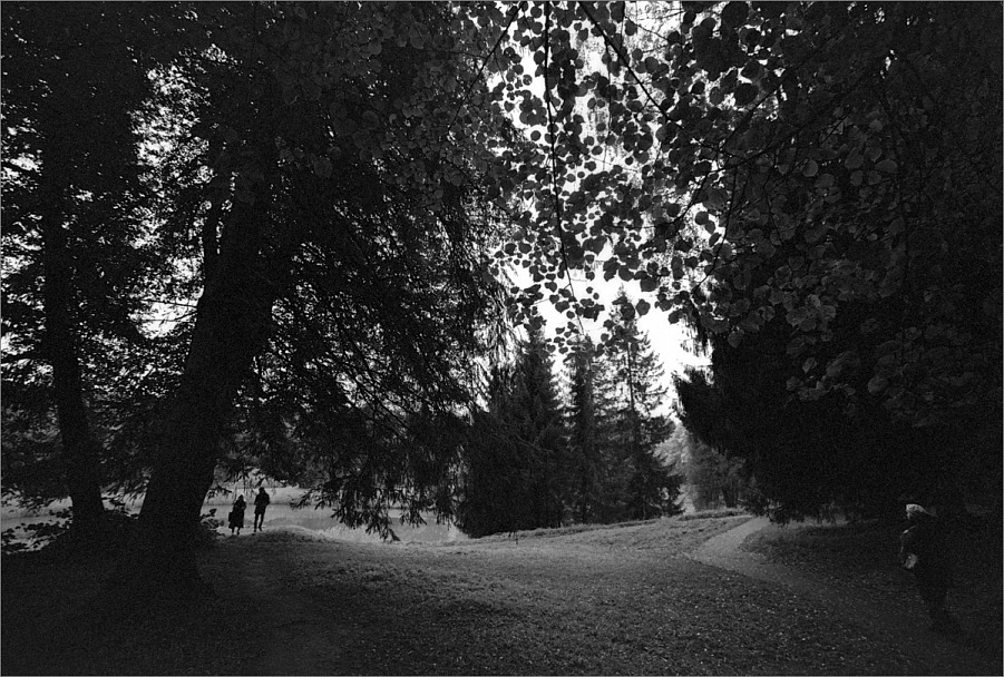 Прикрепленное изображение: knn_Canon EOS 1_2024(7)_Canon EF 16-35m2.8 L II USM_knn_Rollei Retro 80S как 80_Compard R09 1-50_20С_14минут_1партия(9)_1200.jpg