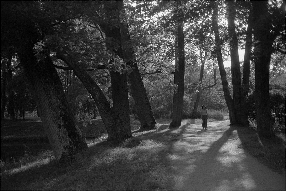 Прикрепленное изображение: knn_YashicaElectro35CC-2_YashinonDX35mm1.8(2024)(24)_Свема КН-2(02.1975, как iso25)_Д-23сток_20С_15минут(3)_1200.jpg