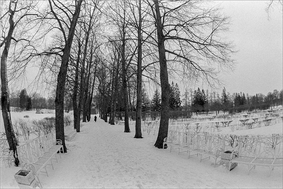 Прикрепленное изображение: knn_FujicaST-801(2024)(2)_Zenitar16mm2.8_Ilford Pan 400(2)_1200.jpg