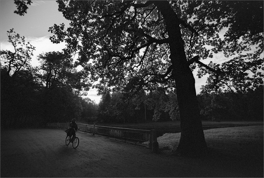 Прикрепленное изображение: knn_Canon EOS 1_2024(7)_Canon EF 16-35m2.8 L II USM_knn_Rollei Retro 80S как 80_Compard R09 1-50_20С_14минут_1партия(3)_1200.jpg
