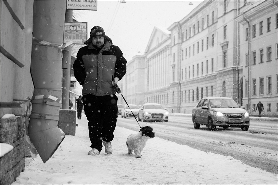 Прикрепленное изображение: knn_Dog2024(8)_1200.jpg
