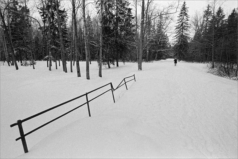 Прикрепленное изображение: knn_Canon EOS 1_2024(2)_Canon EF 16-35m2.8 L II USM_Ilford Pan 400_R09_20C_12минут(10)_1200.jpg