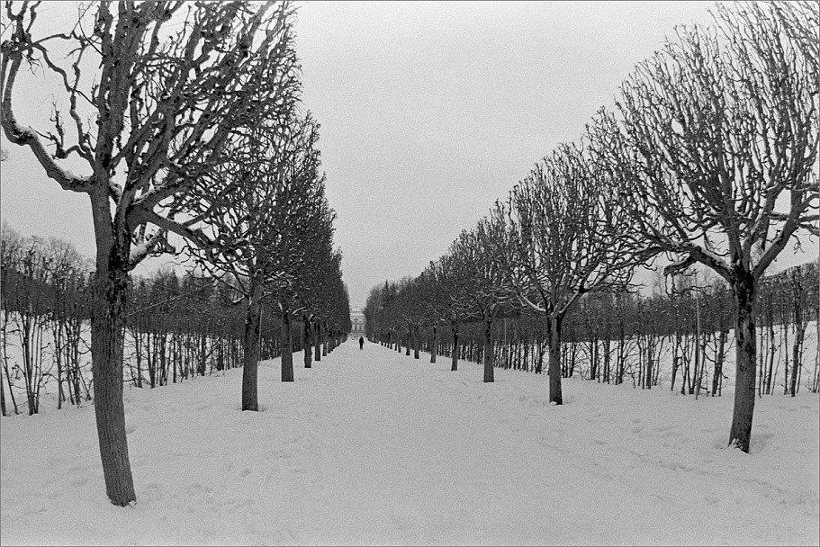 Прикрепленное изображение: knn_FujicaST-801(2024)(2)_Zenitar16mm2.8_Ilford Pan 400(3)_1200.jpg