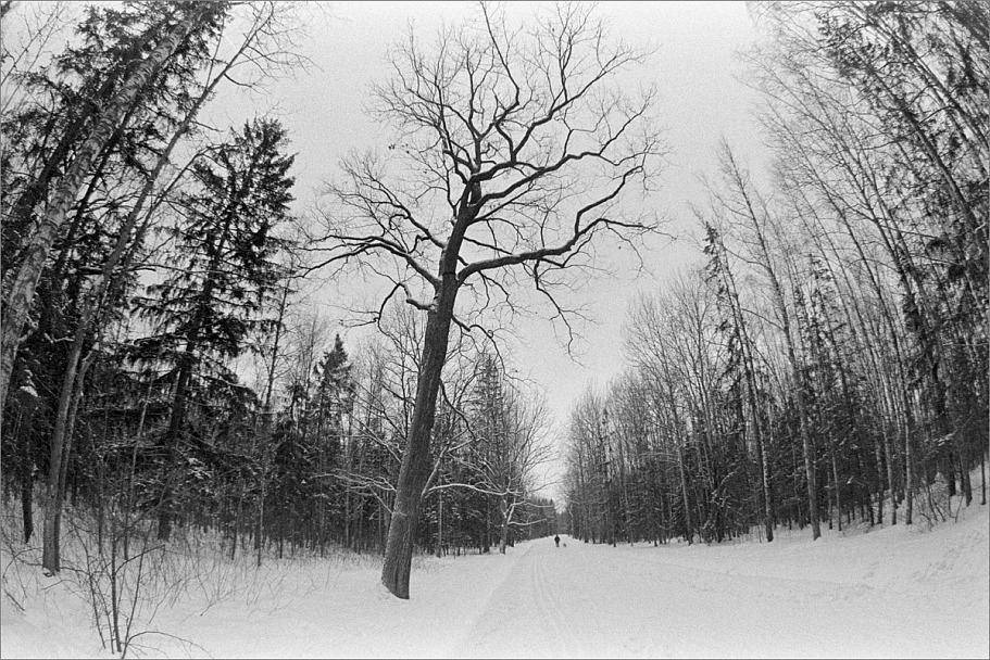 Прикрепленное изображение: knn_FujicaST-801(2024)(1)_Zenitar16mm2.8_Ilford Pan 400(3)_1200.jpg