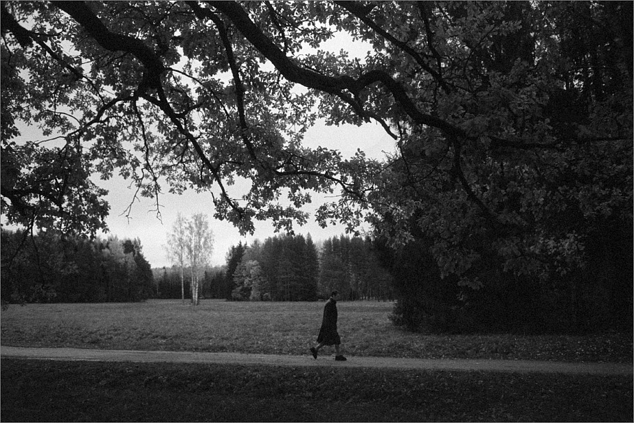 Прикрепленное изображение: knn_Canon EOS 300_2024(13)_Canon EF 28mm2.8 USM_Etude Pan 400 как 320_Compard R09 1-50_20С_14минут_2партия(4)_1200.jpg