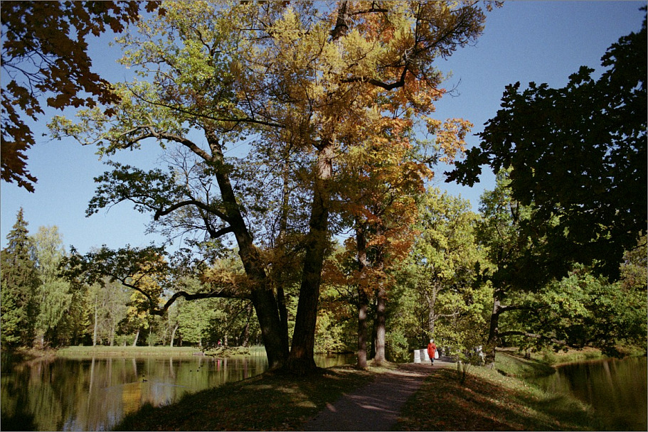 Прикрепленное изображение: knn_Canon EOS 300_2023(4)_Canon 28mm2.8_Fujicolor C200 (01.2014,is0160)(3)_1200.jpg