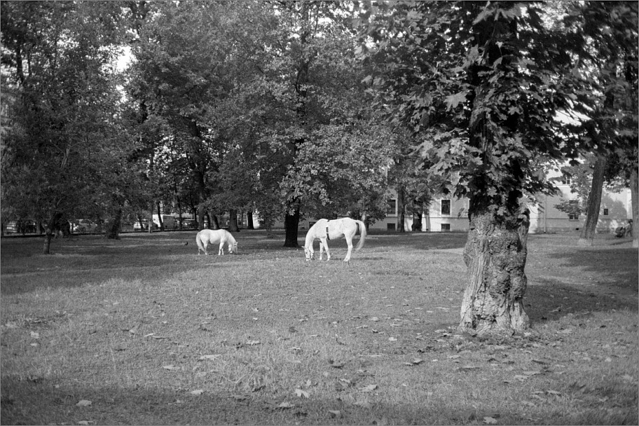 Прикрепленное изображение: knn_YashicaElectro35CC_YashinonDX35mm1.8(2023)(18)_SvemaKN-2(02.1975,iso25)(1)_1200.jpg