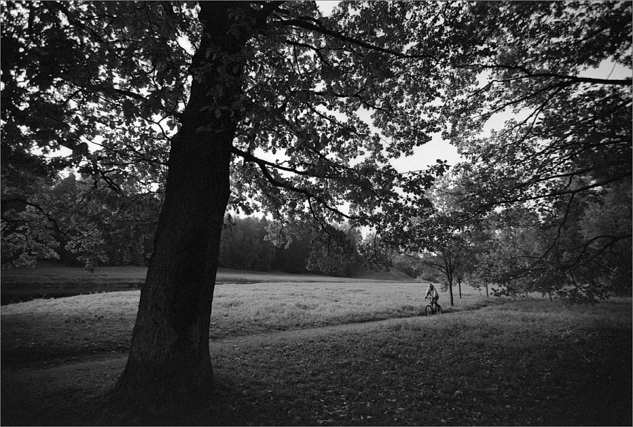 Прикрепленное изображение: knn_Canon EOS 1_2024(7)_Canon EF 16-35m2.8 L II USM_knn_Rollei Retro 80S как 80_Compard R09 1-50_20С_14минут_1партия(8)_1200.jpg