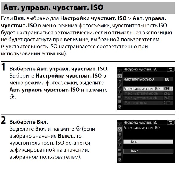 Прикрепленное изображение: никон.jpg