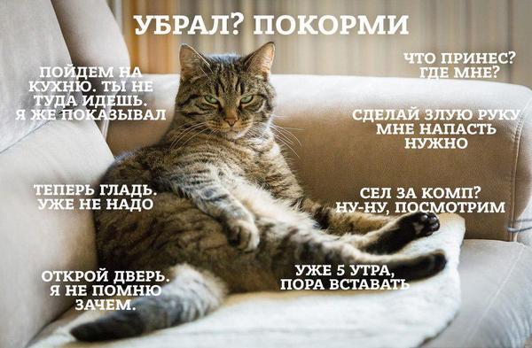 Прикрепленное изображение: pbs_twimg_com_media_CyGTT1kWgAAz.jpeg