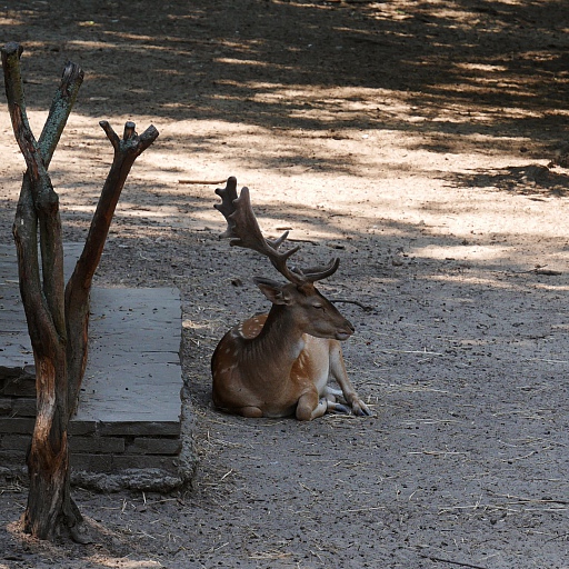 Прикрепленное изображение: P1020543.JPG