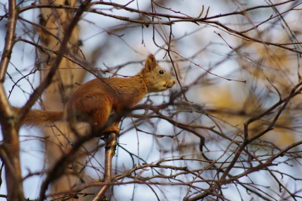 Прикрепленное изображение: IMGP3853r.jpg