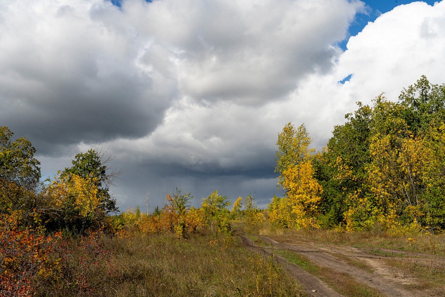 Прикрепленное изображение: _DSC2091sss.jpg