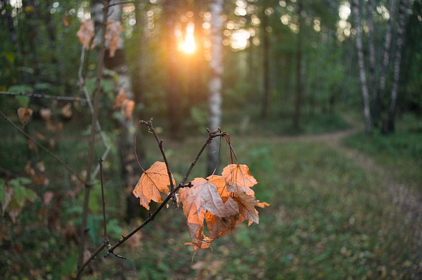 Прикрепленное изображение: IMGP0130.jpg