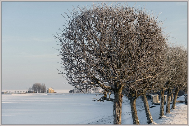 Прикрепленное изображение: _DSC8489-7.jpg