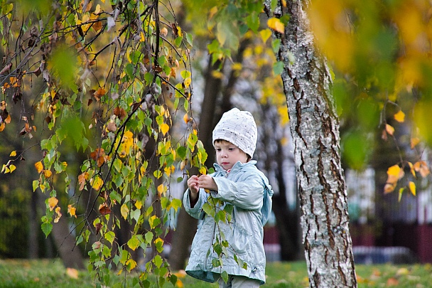 Прикрепленное изображение