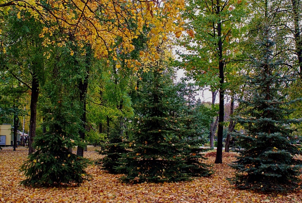 Прикрепленное изображение: DSCF2035.jpg