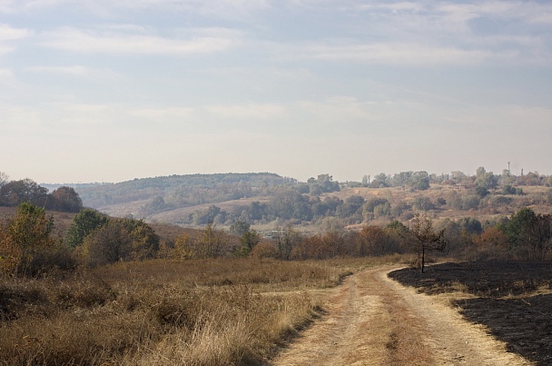 Прикрепленное изображение: IMGP4524.jpg