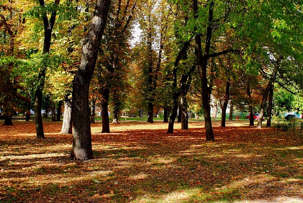 Прикрепленное изображение: DSCF1980.jpg