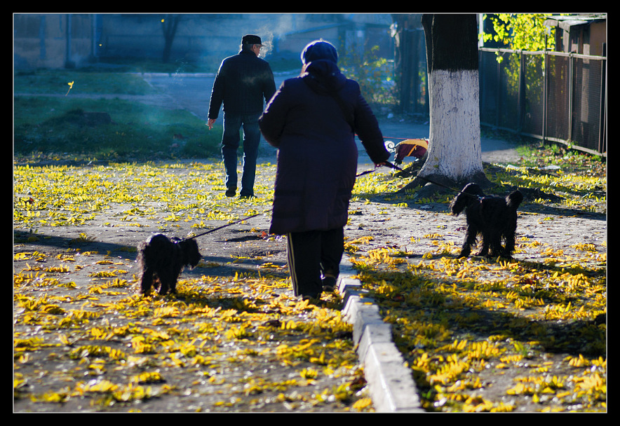 Прикрепленное изображение: IMGP1601-1р.jpg