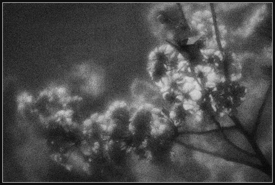 Прикрепленное изображение: IMGP8649-1.jpg