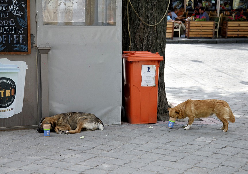 Прикрепленное изображение: IMG_7344-1-ум.jpg