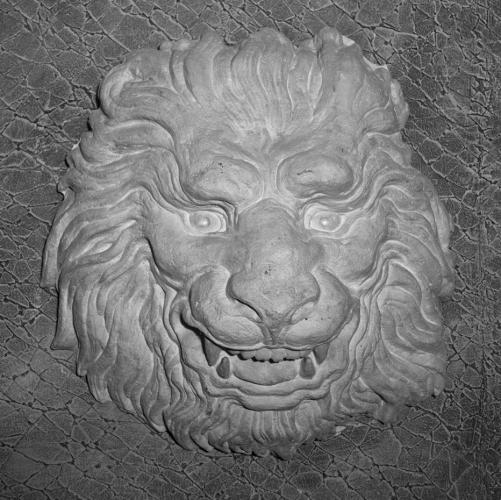 Прикрепленное изображение: lion &amp; texture bw.jpg