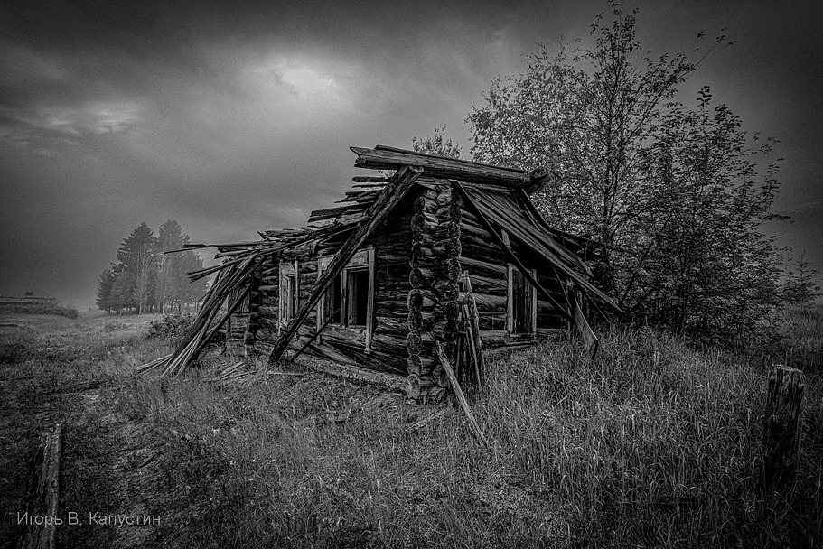 Прикрепленное изображение: IVK_8687.jpg