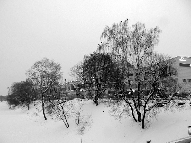 Прикрепленное изображение: DSCN0015.jpg