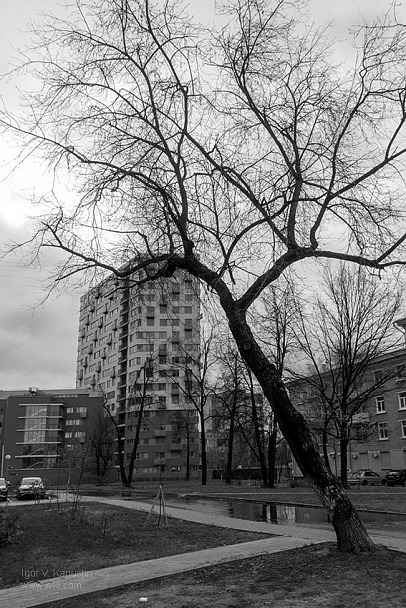 Прикрепленное изображение: IVK00706.jpg