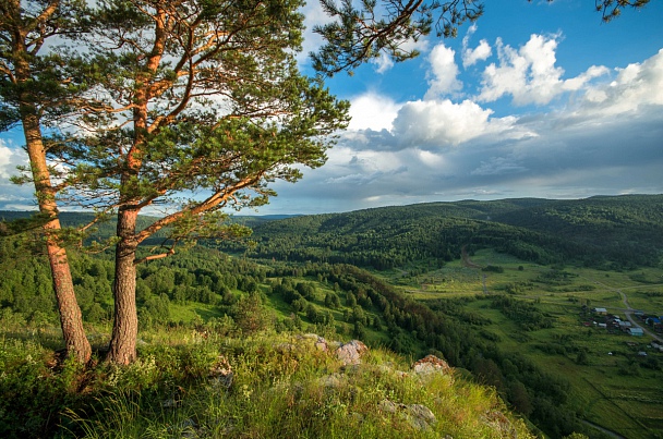 Прикрепленное изображение