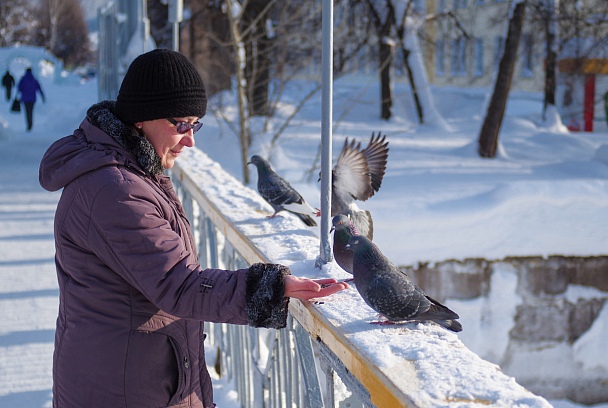 Прикрепленное изображение: 1-IMGP1064.jpg