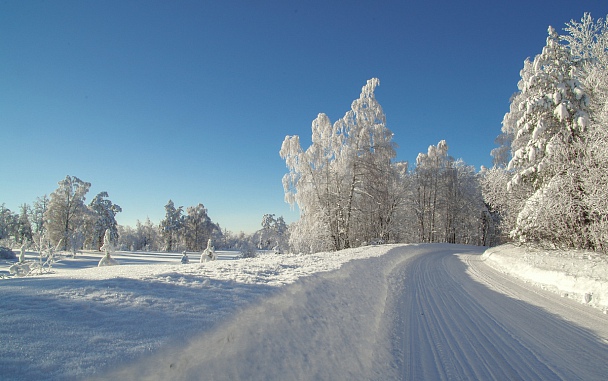 Прикрепленное изображение: 1-IMGP0399.jpg