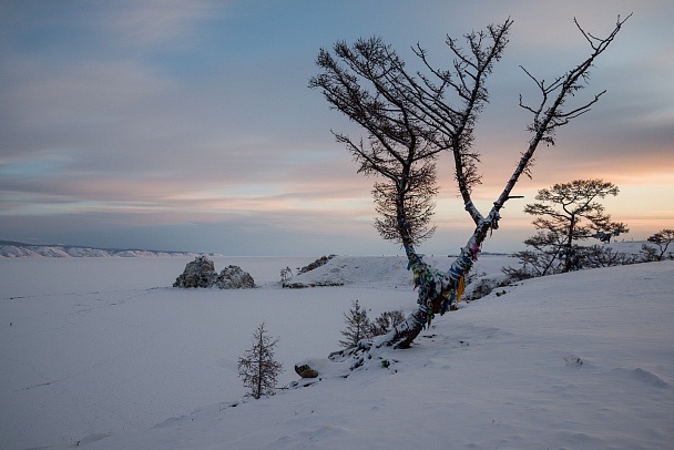 Прикрепленное изображение: IMGP2415.jpg