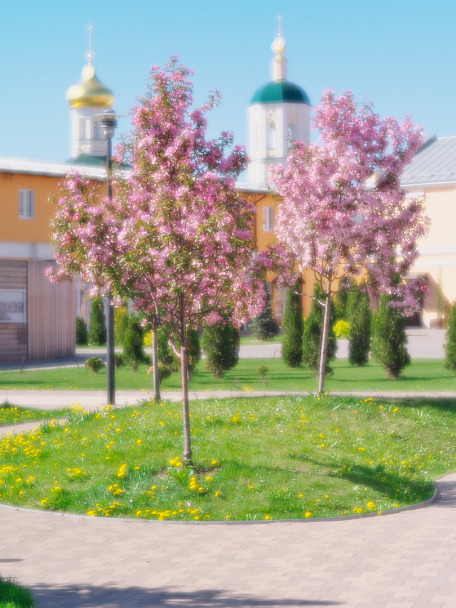 Прикрепленное изображение: 23_05_13_09-28-25__IGP8687.jpg