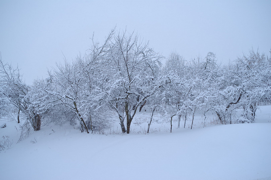 Прикрепленное изображение: 18-02-04_16-46-45__IMG2158_web.jpg