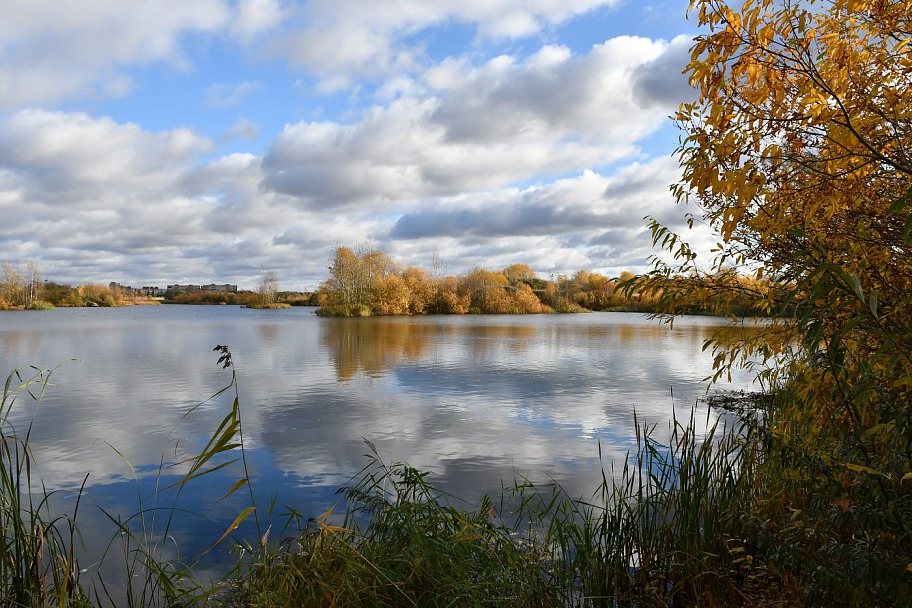 Прикрепленное изображение: DSC_0160.JPG